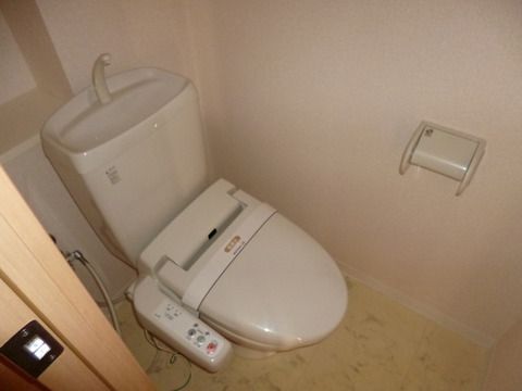 Toilet. Toilet