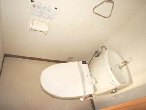 Toilet. Toilet with shower