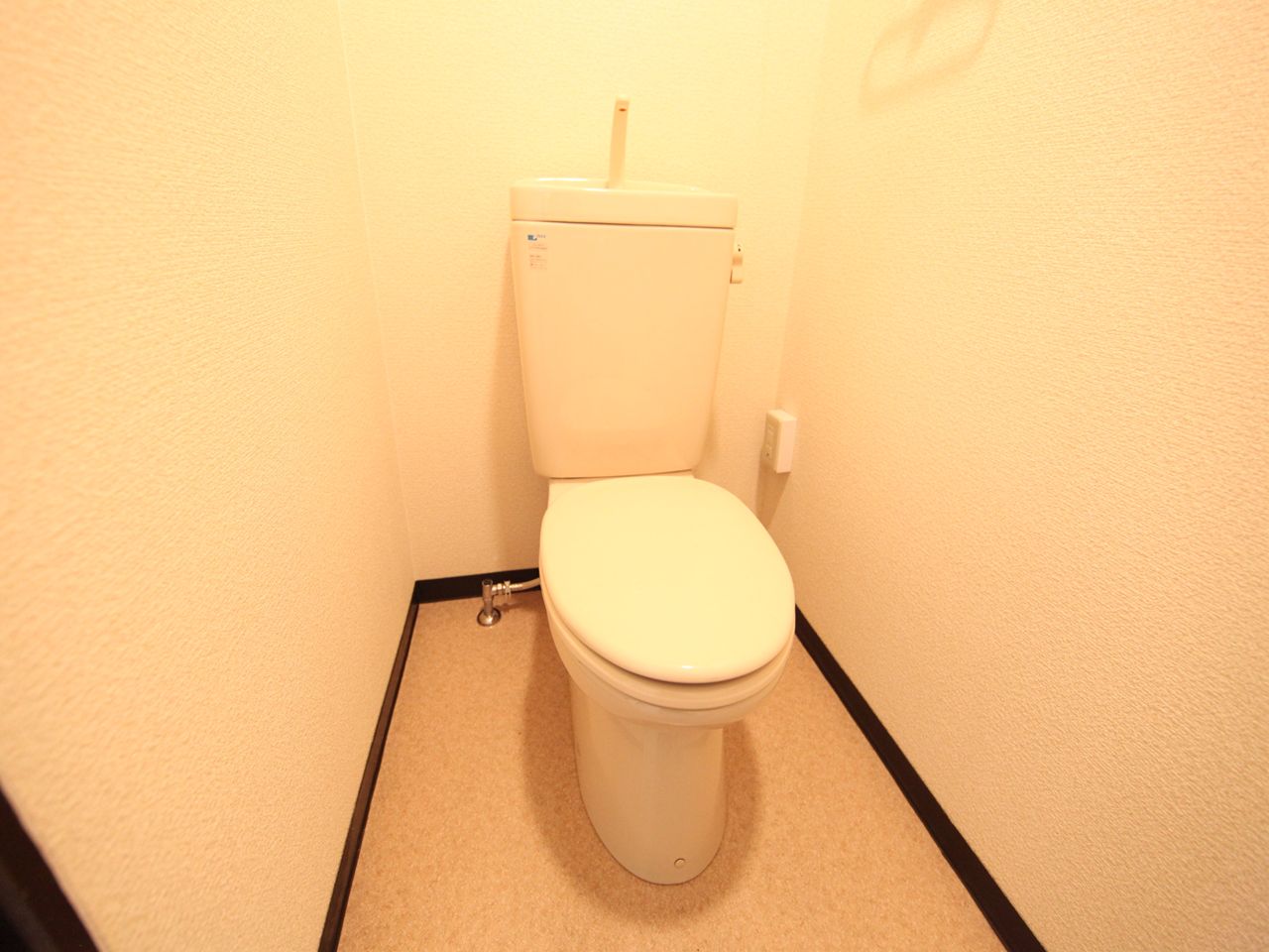 Toilet. Warm water washing toilet seat mounting Allowed toilet