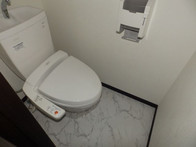 Toilet. It comes with a bidet.