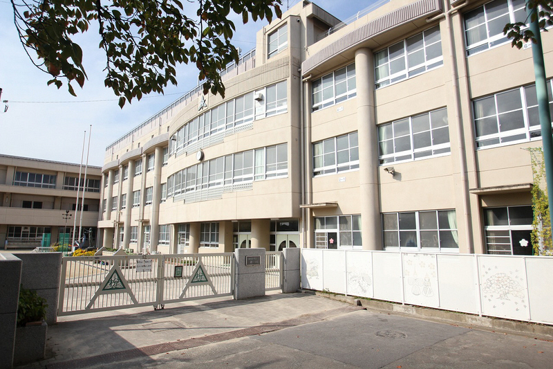 Primary school. Willow until the elementary school (elementary school) 310m