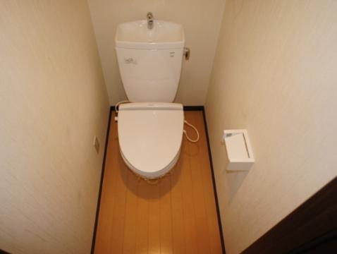 Toilet. WC