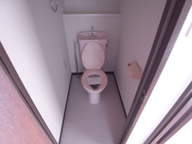 Toilet. Western-style toilet