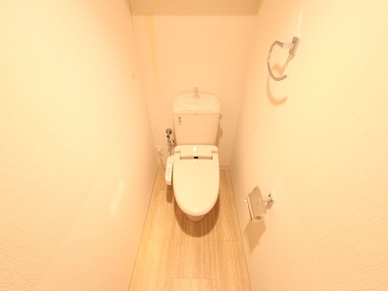 Toilet. With warm water washing heating toilet seat