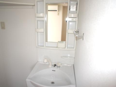 Washroom. Bathroom Vanity