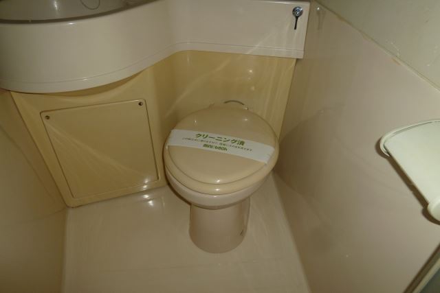 Toilet. Space to settle down