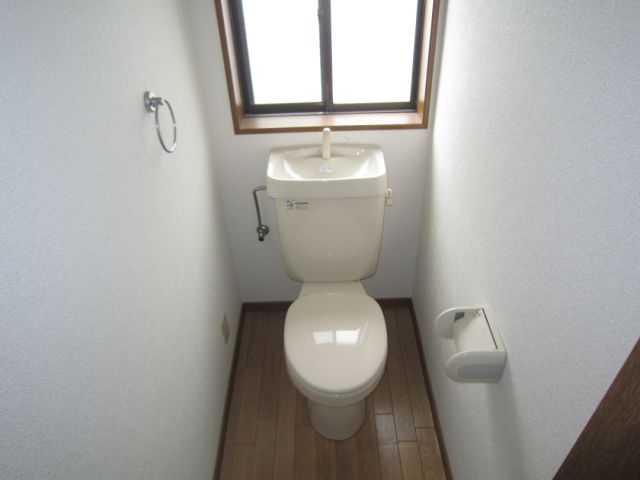 Toilet. Clean toilet