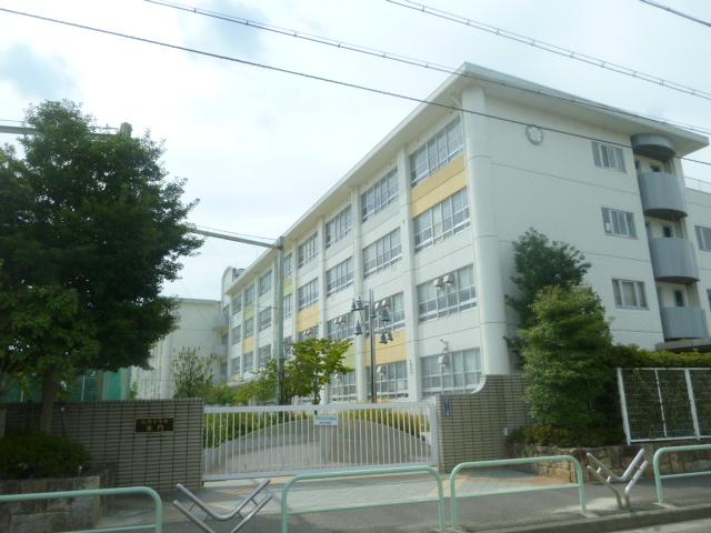 Primary school. Nagoya Municipal Shonai 800m up to elementary school