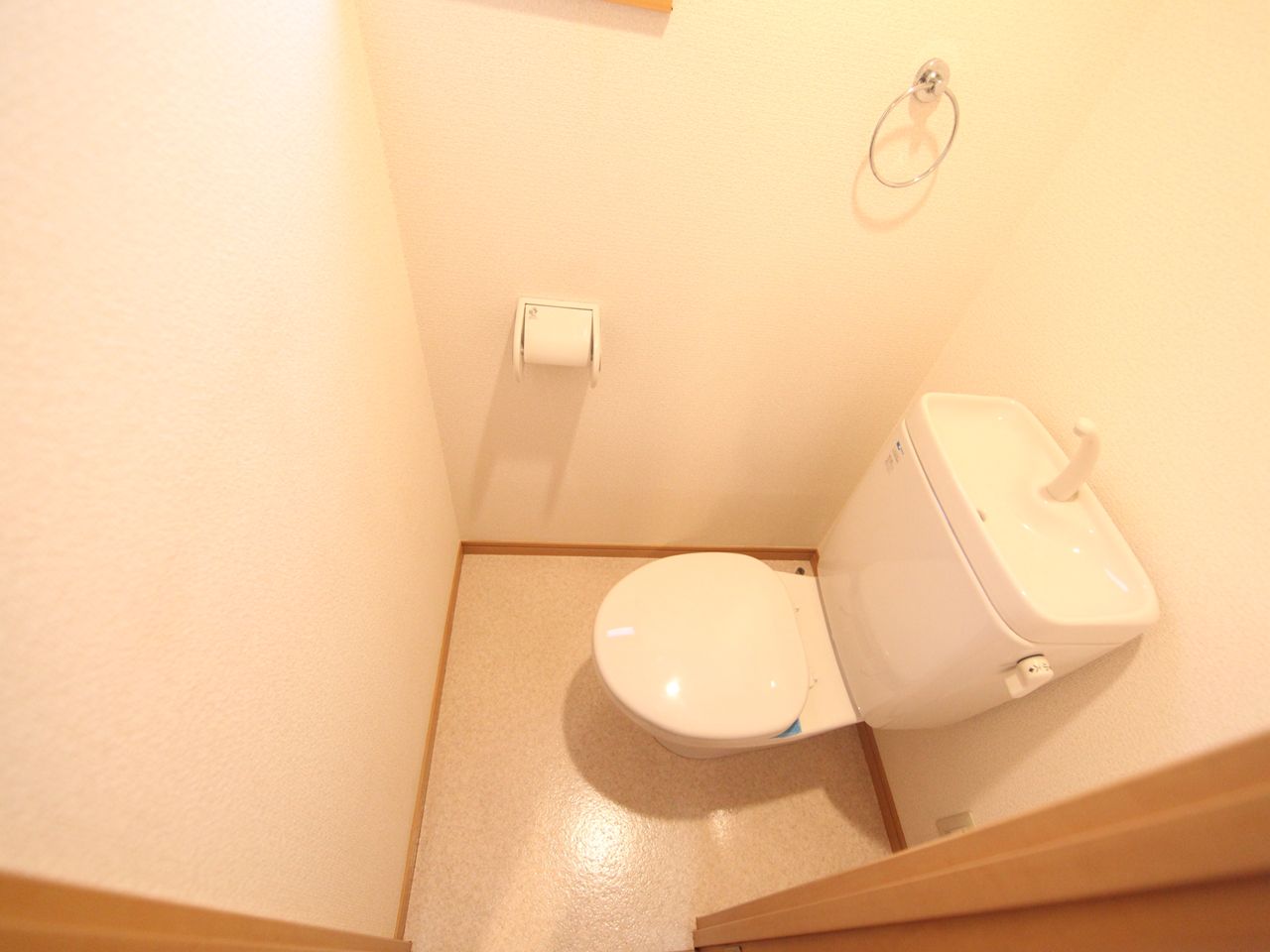 Toilet. Toilet (another bath toilet)