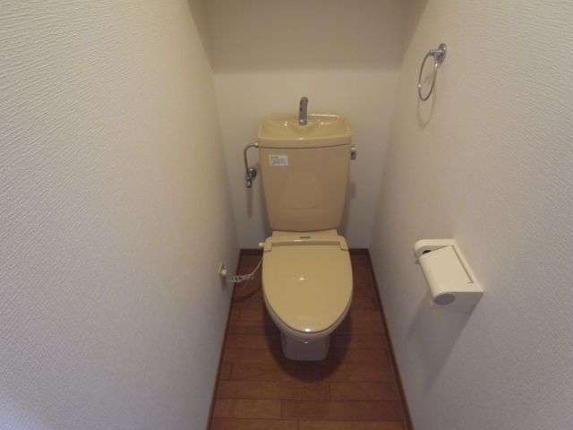 Toilet. It is a toilet with a clean.