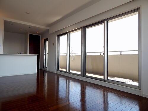 Living. Living room 1