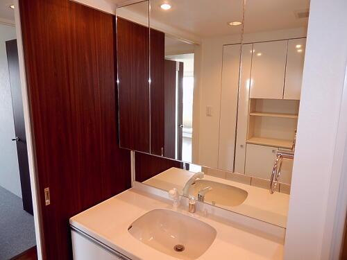 Wash basin, toilet. Bathroom vanity