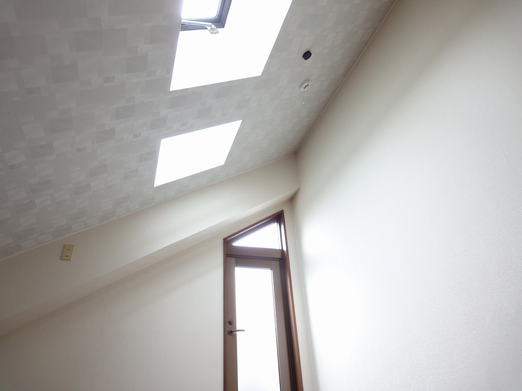 Other room space. Loft ceiling portion Skylight