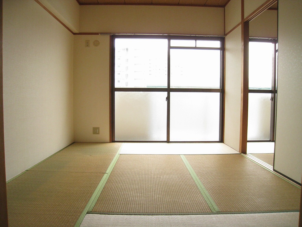 Living and room. Sunny southern Japanese-style