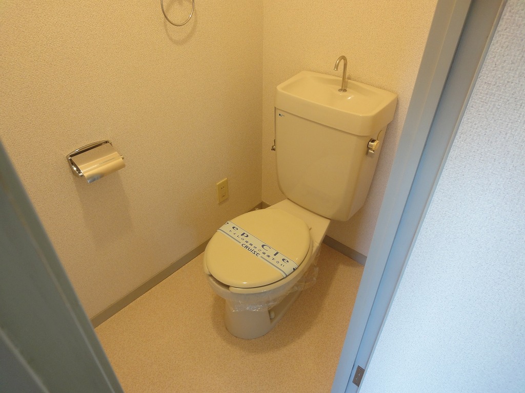 Toilet. Toilet