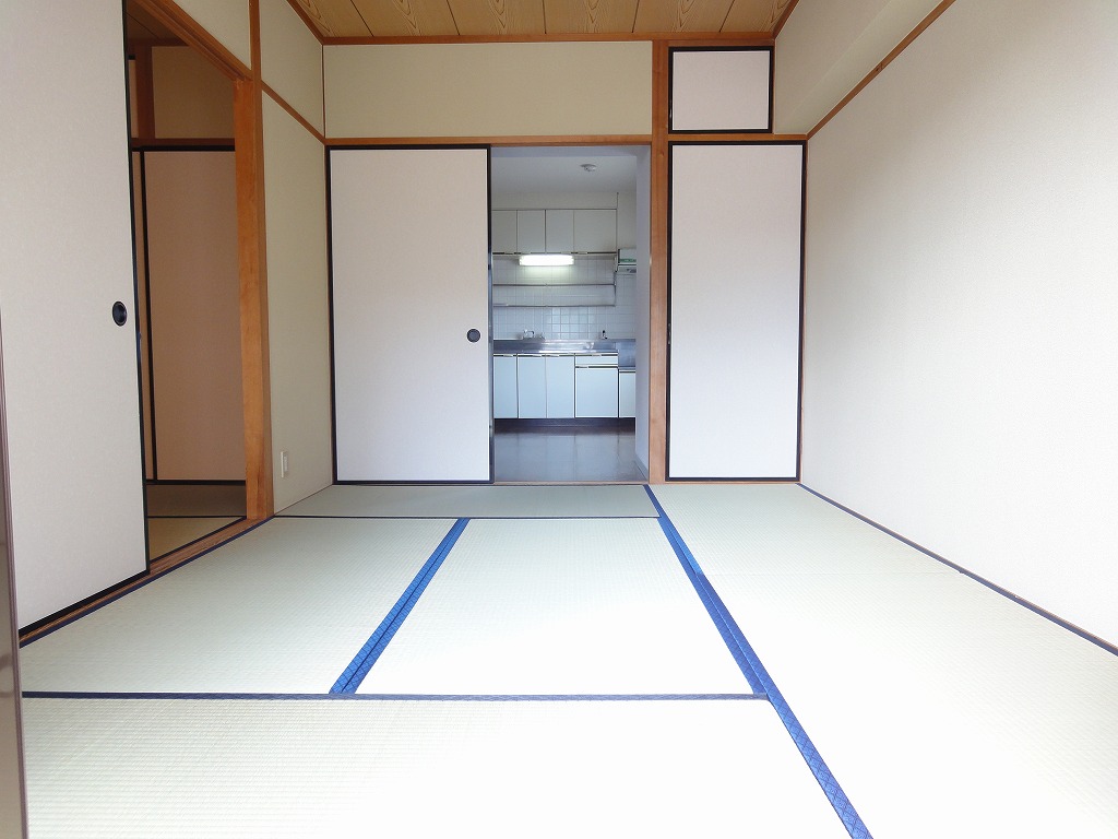 Living and room. Sunny southern Japanese-style