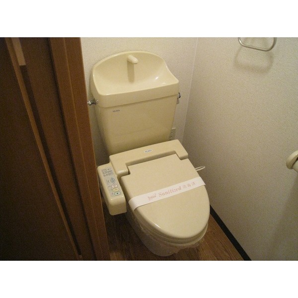 Toilet. Photo is inverted type