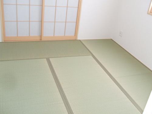 Other. The series construction cases Japanese-style room