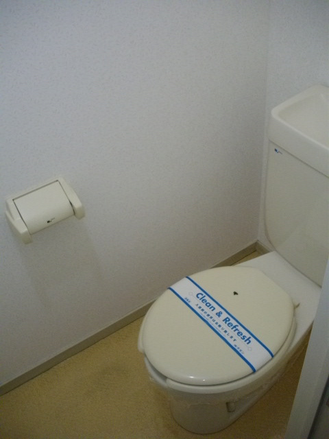 Toilet. It is a flush toilet