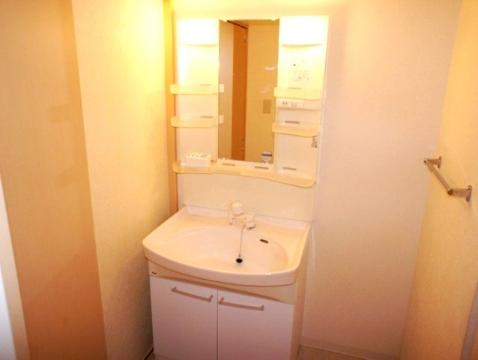 Washroom. Bathroom Vanity