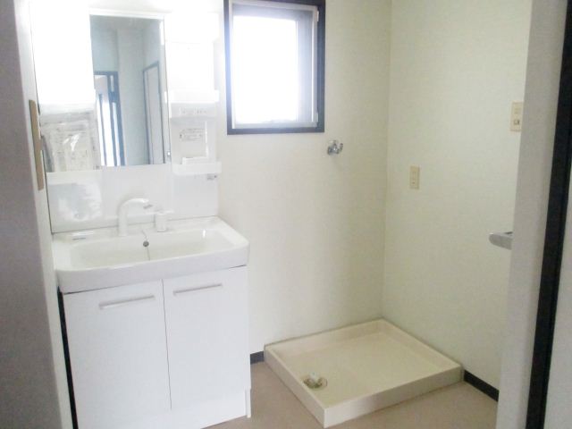 Washroom. Bathroom Vanity, Indoor Laundry Storage