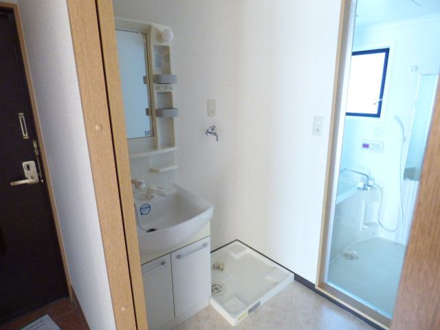 Washroom. Bathroom Vanity, Indoor Laundry Storage