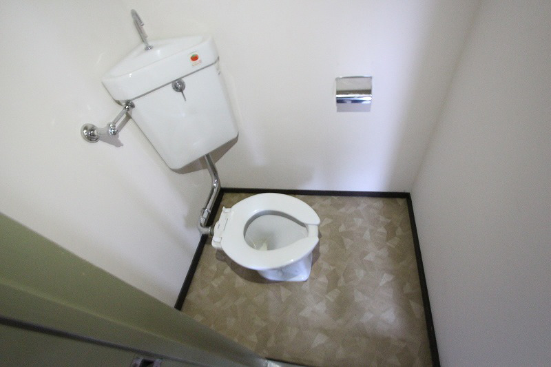 Other. It is a popular Western-style toilet. 