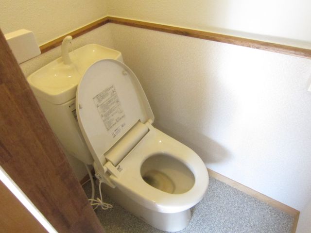 Toilet. It is a new article of the toilet