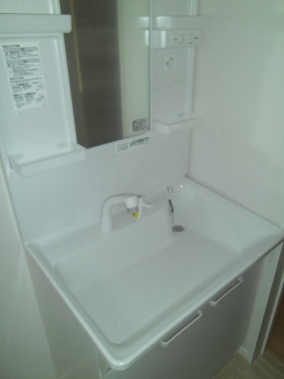 Wash basin, toilet. Vanity with shower