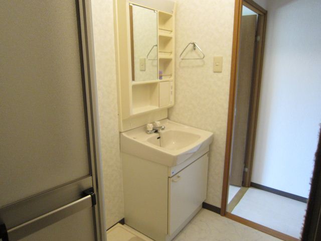 Washroom. Separate vanity, Washing machine in the room