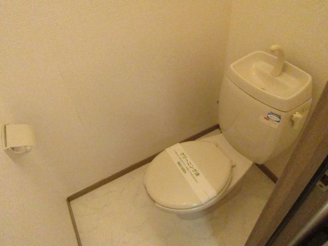 Toilet. It is a beautiful toilet. 