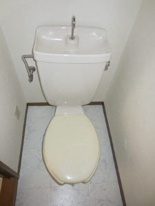 Toilet