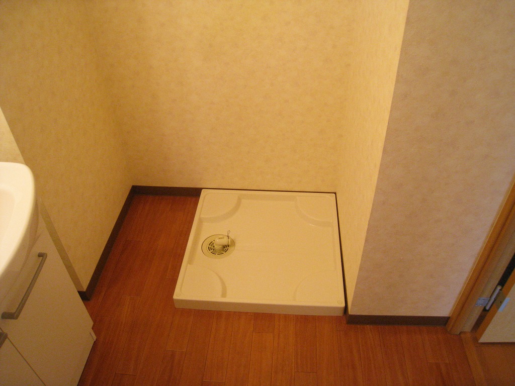 Other room space. Washing machine in the room Photo is inverted type