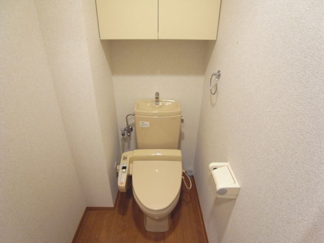 Toilet. But it is useful to have a shelf in toilet. 