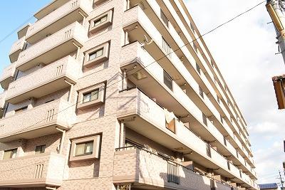 Local appearance photo. Local (11 May 2013) Shooting