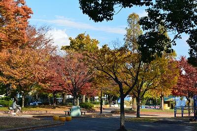 park. 451m until Nakaotai park