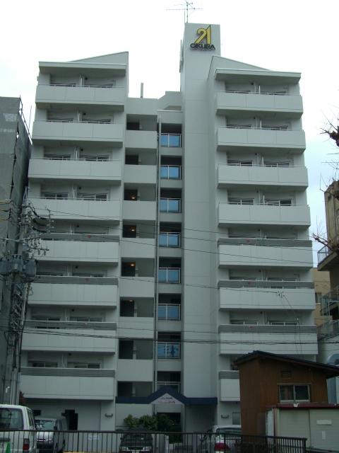 Local appearance photo. Local (April 2011) Shooting