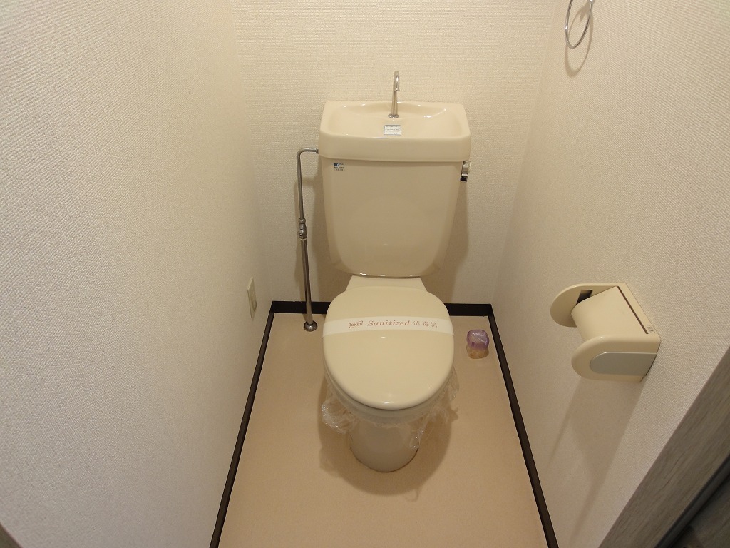 Toilet. Toilet