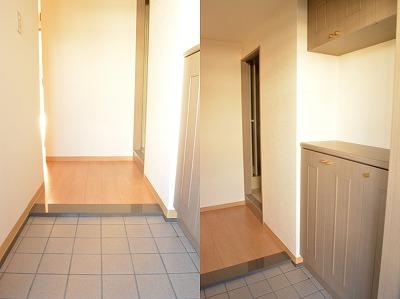 Entrance. Entrance with a neat cupboard