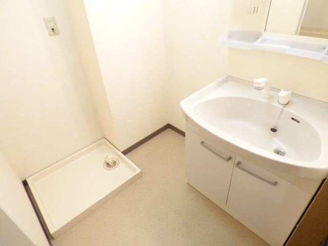 Washroom. Shampoo dresser, Indoor selection Storage