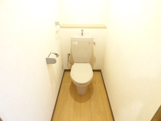 Toilet. Clean and full of a feeling of rest room