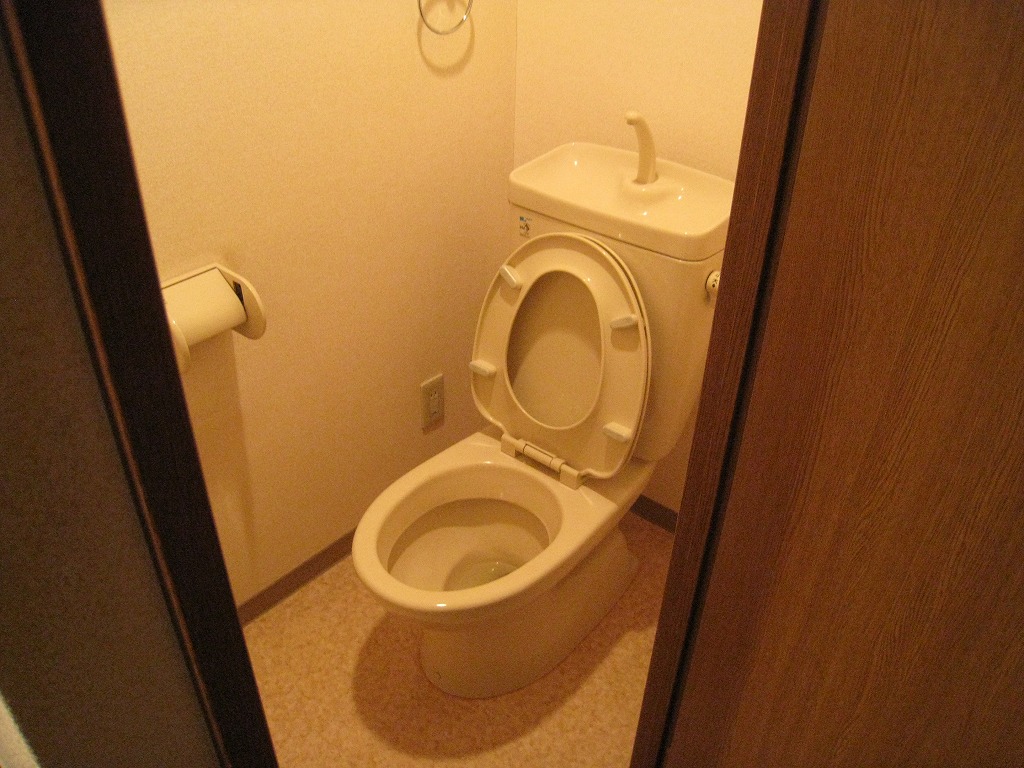 Toilet. Toilet