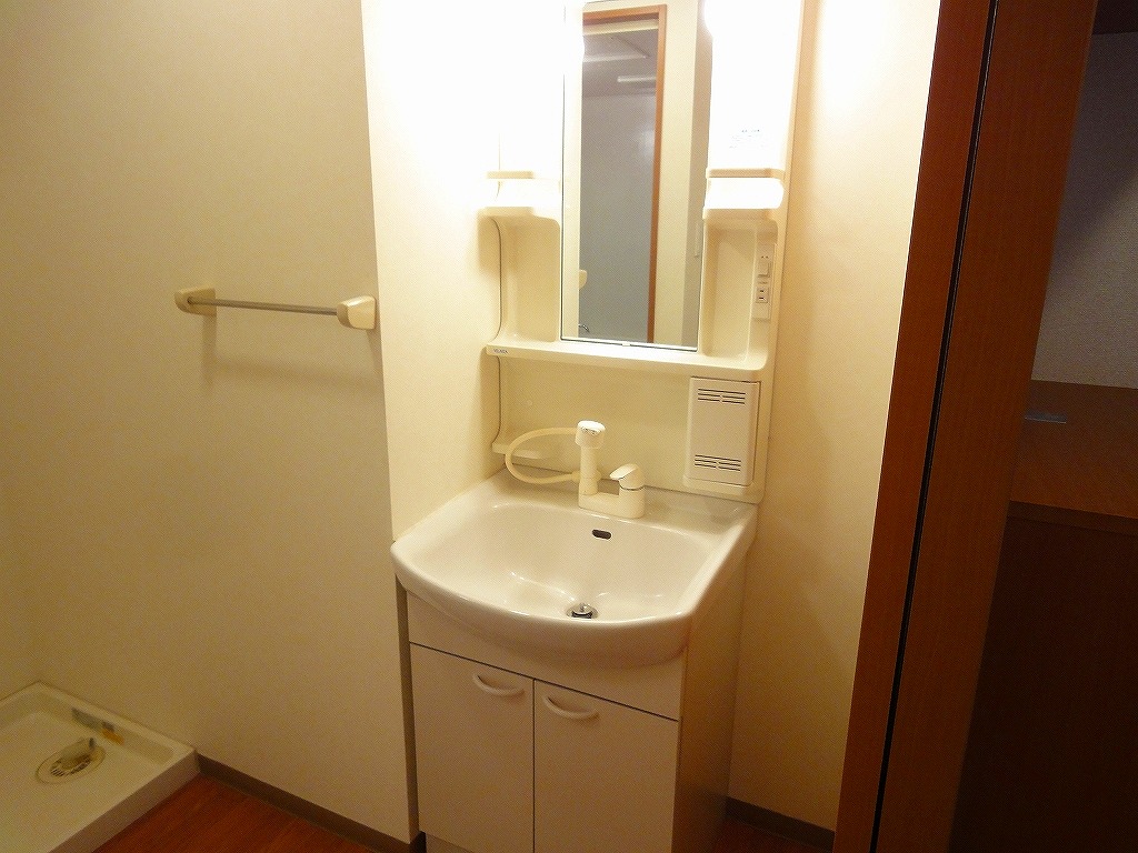 Washroom. Washbasin with shower