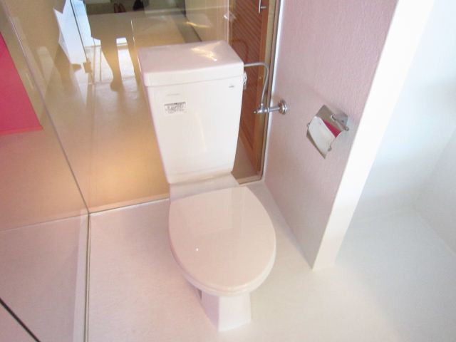 Toilet. Toilet with cleanliness