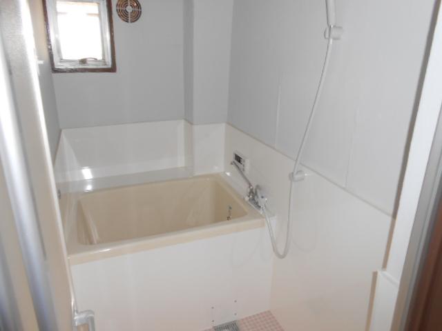 Bathroom. Indoor (11 May 2013) Shooting