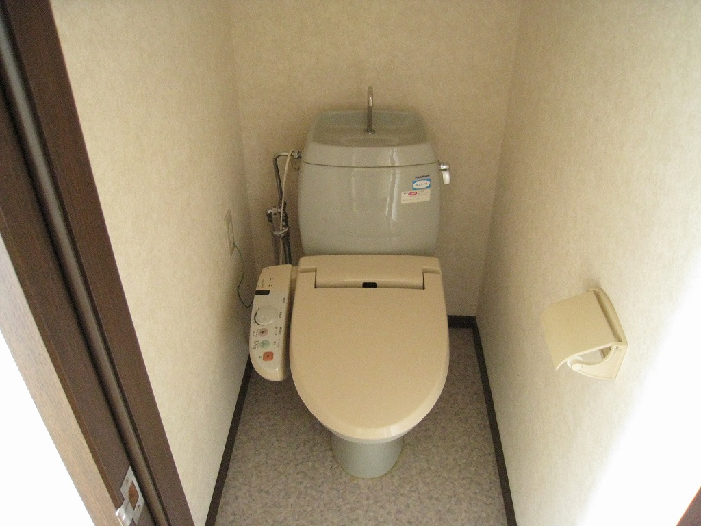 Toilet. Photo is a thing of another room. 