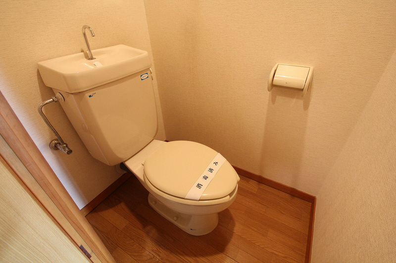 Toilet. Toilet of Western-style toilet seat.