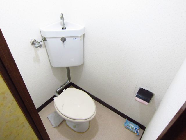 Toilet. Toilet with cleanliness