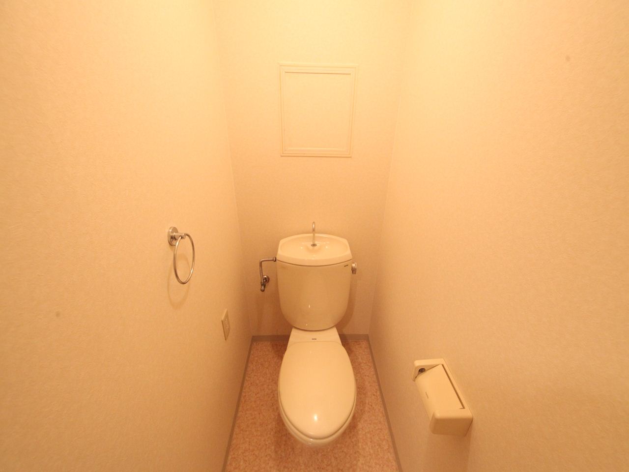 Toilet. Western-style toilet