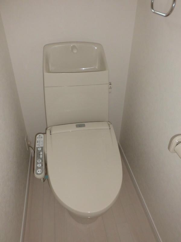 Toilet. Hot water function with toilet